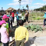 Ayuntamiento de Novelda 03-7-150x150 Una visita a los Huertos Ecológicos cierre la campaña escolar de educación ambiental 