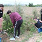 Ayuntamiento de Novelda 04-15-150x150 Voluntarios del IES La Mola participan en la campaña de Educación Ambiental Municipal 
