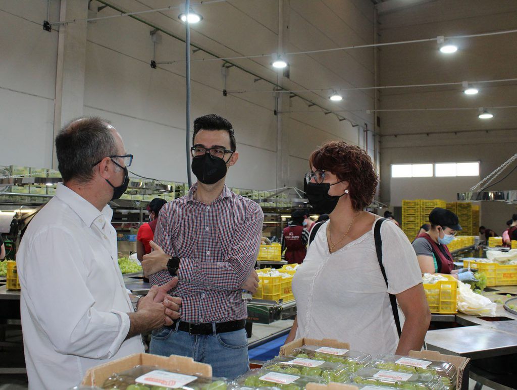 Ayuntamiento de Novelda 08-4-1024x773 El alcalde visita las nuevas instalaciones de la Cooperativa del Campo Santa María Magdalena 