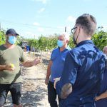 Ayuntamiento de Novelda 05-4-150x150 El alcalde visita una plantación local de frutas tropicales 
