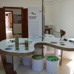 Ayuntamiento de Novelda 07-5-150x150 El Centro Cultural Gómez-Tortosa acoge la exposición “Especias: El Universo del Sabor” 
