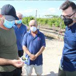 Ayuntamiento de Novelda 08-2-150x150 El alcalde visita una plantación local de frutas tropicales 