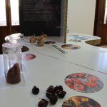Ayuntamiento de Novelda 08-3-150x150 El Centro Cultural Gómez-Tortosa acoge la exposición “Especias: El Universo del Sabor” 