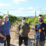 Ayuntamiento de Novelda 09-4-150x150 El alcalde visita una plantación local de frutas tropicales 