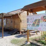 Ayuntamiento de Novelda 05-1-150x150 Los huertos ecológicos reciben una subvención de Diputación para la mejora de instalaciones 