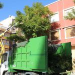 Ayuntamiento de Novelda 04-12-150x150 Se inicia la campaña anual de poda del arbolado municipal 