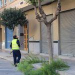 Ayuntamiento de Novelda 06-6-150x150 S'inicia la campanya anual de poda de l'arbratge municipal 