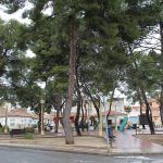 Ayuntamiento de Novelda 07-9-150x150 Reforma integral per al parc de Sant Lázaro 