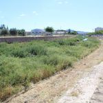 Ayuntamiento de Novelda 01-Desbroce-cauce-rio-150x150 Medio Ambiente realiza trabajos de desbroce en el cauce del Vinalopó 
