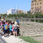 Ayuntamiento de Novelda 04-huertos-ecológicos-150x150 Els horts ecològics reben la visita dels escolars noveldenses 