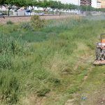 Ayuntamiento de Novelda 05-Desbroce-cauce-rio-150x150 Medio Ambiente realiza trabajos de desbroce en el cauce del Vinalopó 