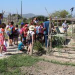 Ayuntamiento de Novelda 05-huertos-ecológicos-150x150 Los huertos ecológicos reciben la visita de los escolares noveldenses 
