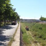 Ayuntamiento de Novelda 07-Desbroce-cauce-rio-150x150 Medio Ambiente realiza trabajos de desbroce en el cauce del Vinalopó 