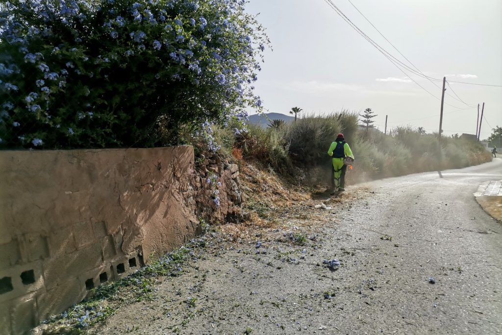 Ayuntamiento de Novelda 01-desbroce-caminos-1024x683 S'inicien els treballs de desbrossament i manteniment de camins rurals 