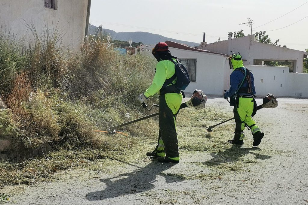 Ayuntamiento de Novelda 03-desbroce-caminos-1024x683 S'inicien els treballs de desbrossament i manteniment de camins rurals 