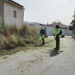 Ayuntamiento de Novelda 04-desbroce-caminos-150x150 S'inicien els treballs de desbrossament i manteniment de camins rurals 