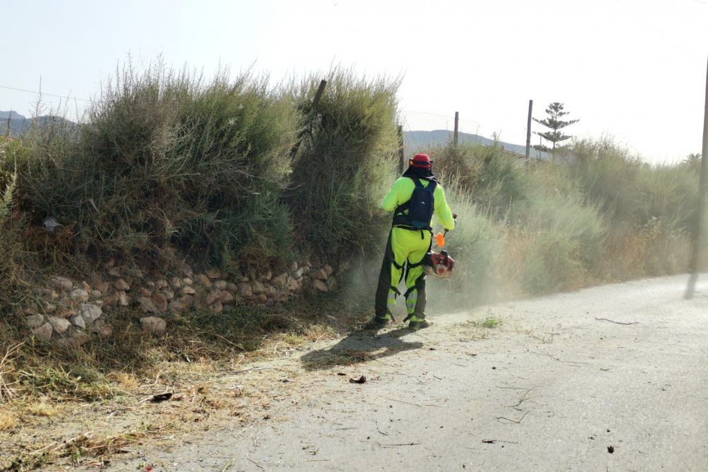 Ayuntamiento de Novelda 05-desbroce-caminos-1024x683 S'inicien els treballs de desbrossament i manteniment de camins rurals 