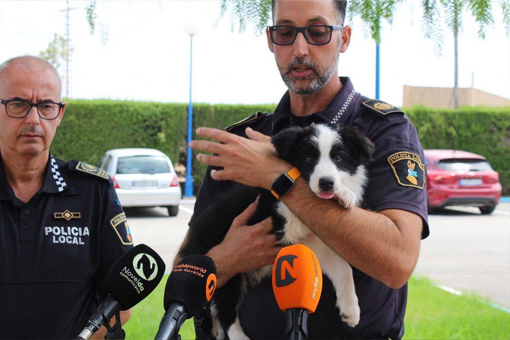 Ayuntamiento de Novelda Unidad-canina-3-1024x683 La Policía Local crea la Unidad Canina para la detección de drogas 