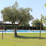 Ayuntamiento de Novelda 11-150x150 El Gobierno Municipal encarga el proyecto para la mejora integral de las piscinas municipales 