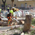 Ayuntamiento de Novelda 02-talas-pinos-150x150 El mal estat i la perillositat obliguen a talar set pins de la plaça de Sant Lázaro 