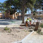 Ayuntamiento de Novelda 03-talas-pinos-150x150 El mal estat i la perillositat obliguen a talar set pins de la plaça de Sant Lázaro 