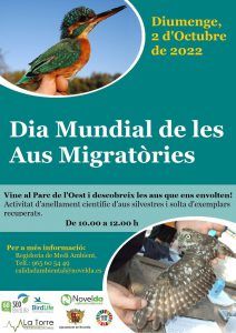 Ayuntamiento de Novelda Dia-de-las-aves-2022-Def-1-212x300 Día Mundial de las Aves Migratorias 