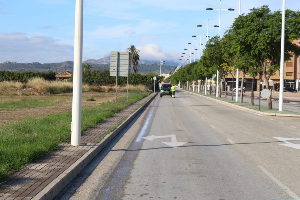 Ayuntamiento de Novelda 01-subvencion-mosquitos-1024x683 El Ayuntamiento recibe una subvención de la Diputación de Alicante para el control de plagas de mosquitos 