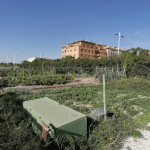 Ayuntamiento de Novelda 04-Huerto-ecologico-150x150 Los Huertos Ecológicos Municipales reciben una subvención de Diputación para la mejora de instalaciones 
