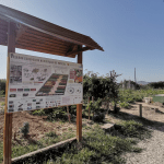 Ayuntamiento de Novelda 05-Huerto-ecologico-150x150 Los Huertos Ecológicos Municipales reciben una subvención de Diputación para la mejora de instalaciones 