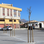 Ayuntamiento de Novelda 02-150x150 Medio Ambiente reforesta el aparcamiento del polígono de San Fe 