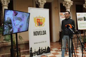 Ayuntamiento de Novelda 06-la-glorieta-videos-propuesta-300x200 Tres proyectos noveldenses para la futura Glorieta 
