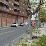 Ayuntamiento de Novelda poda-1-150x150 Medi Ambient posa en marxa la campanya de poda anual 