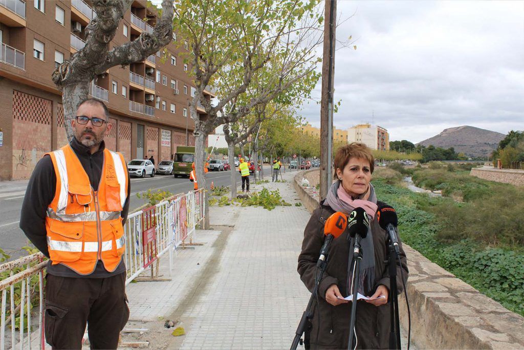 Ayuntamiento de Novelda poda-1024x683 Medi Ambient posa en marxa la campanya de poda anual 