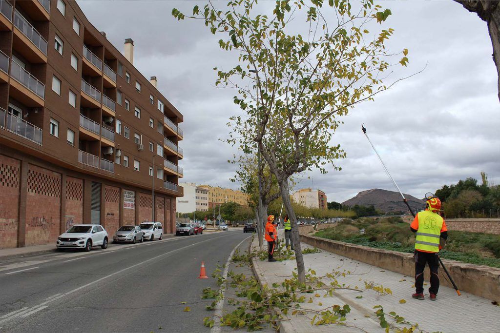 Ayuntamiento de Novelda poda-2-1024x683 Medi Ambient posa en marxa la campanya de poda anual 
