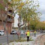Ayuntamiento de Novelda poda-5-150x150 Medi Ambient posa en marxa la campanya de poda anual 