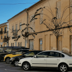 Ayuntamiento de Novelda 02-arbolado-150x150 Novelda augmenta el seu arbratge urbà 