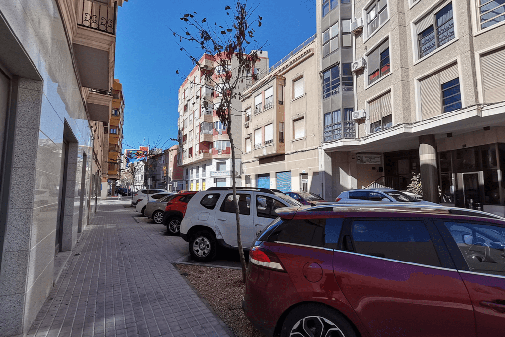 Ayuntamiento de Novelda 03-arbolado-1024x683 Novelda aumenta su arbolado urbano 