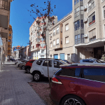 Ayuntamiento de Novelda 03-arbolado-150x150 Novelda augmenta el seu arbratge urbà 