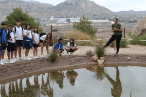 Ayuntamiento de Novelda 04-Visita-Balsa-Fartet-300x200 Una visita escolar a la Bassa del Fartet tanca el programa d'educació ambiental de Medi Ambient 