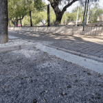 Ayuntamiento de Novelda 05-Goteo-arboles-150x150 Medio Ambiente instala el riego por goteo en los árboles de la Avenida del río Vinalopó 