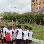 Ayuntamiento de Novelda 05-Huertos-ecológicos-150x150 Los huertos ecológicos reciben la visita de los escolares noveldenses 