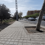 Ayuntamiento de Novelda 08-Goteo-arboles-150x150 Medio Ambiente instala el riego por goteo en los árboles de la Avenida del río Vinalopó 
