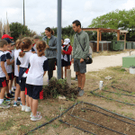 Ayuntamiento de Novelda 08-Huertos-150x150 Los huertos ecológicos reciben la visita de los escolares noveldenses 