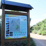 Ayuntamiento de Novelda paraje-150x150 Medi Ambient millora la senyalística del Paratge Natural Municipal Clots de la Sal i Serra de la Mola 