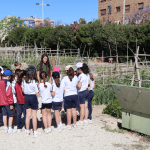 Ayuntamiento de Novelda Huertos-ecológicos-3-150x150 Los huertos ecológicos reciben la visita de los escolares noveldenses 