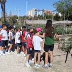 Ayuntamiento de Novelda Huertos-ecológicos-4-150x150 Els horts ecològics reben la visita dels escolars noveldenses 
